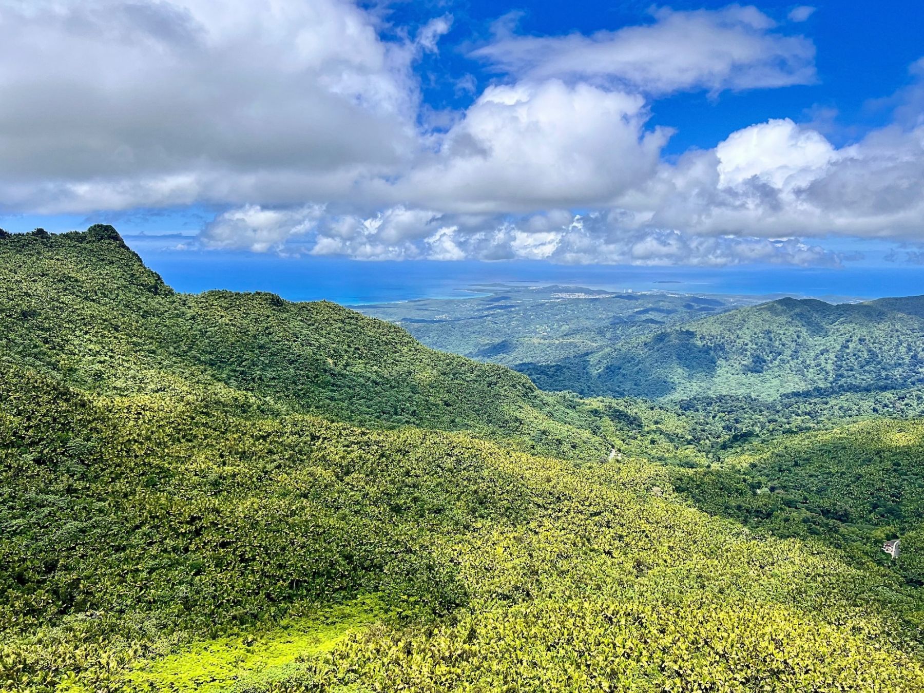 Il parco nazionale El Yunque © Beebly / Shutterstock