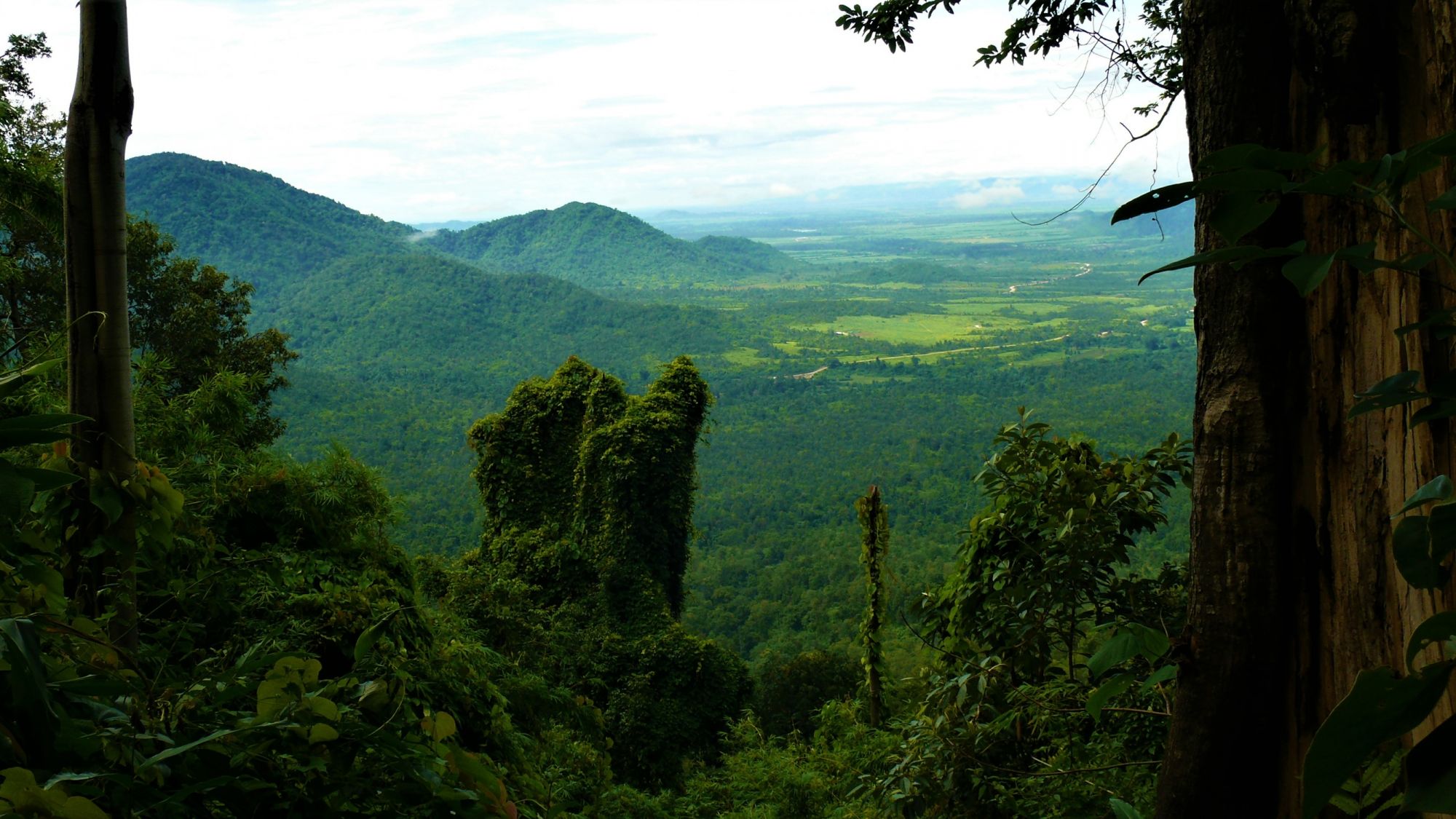 I lussureggianti Monti Cardamomi ospitano alcuni dei paesaggi più spettacolari della Cambogia © R. Bociaga / Shutterstock