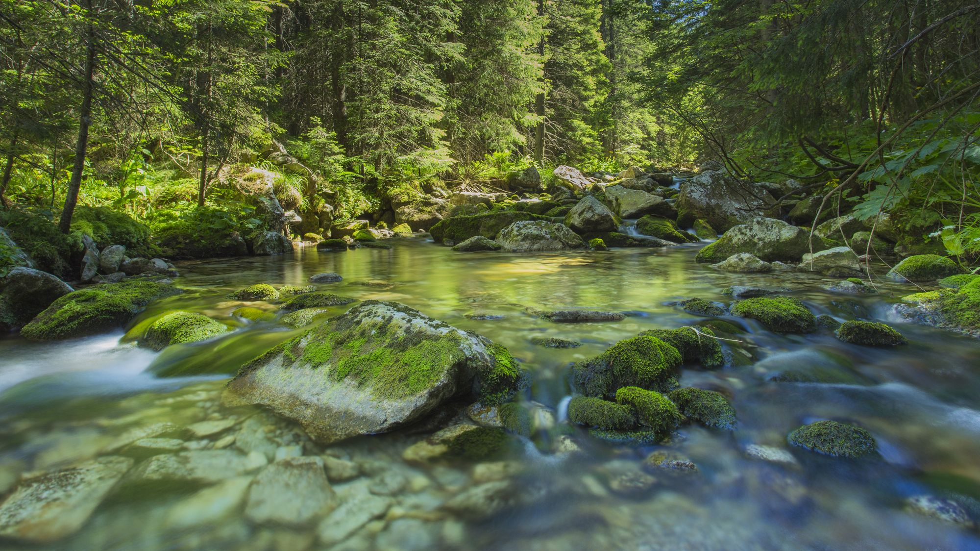 Un torrente scorre nei Monti Retezat, Carpazi meridionali, Romania ©Marcel Doup/500px