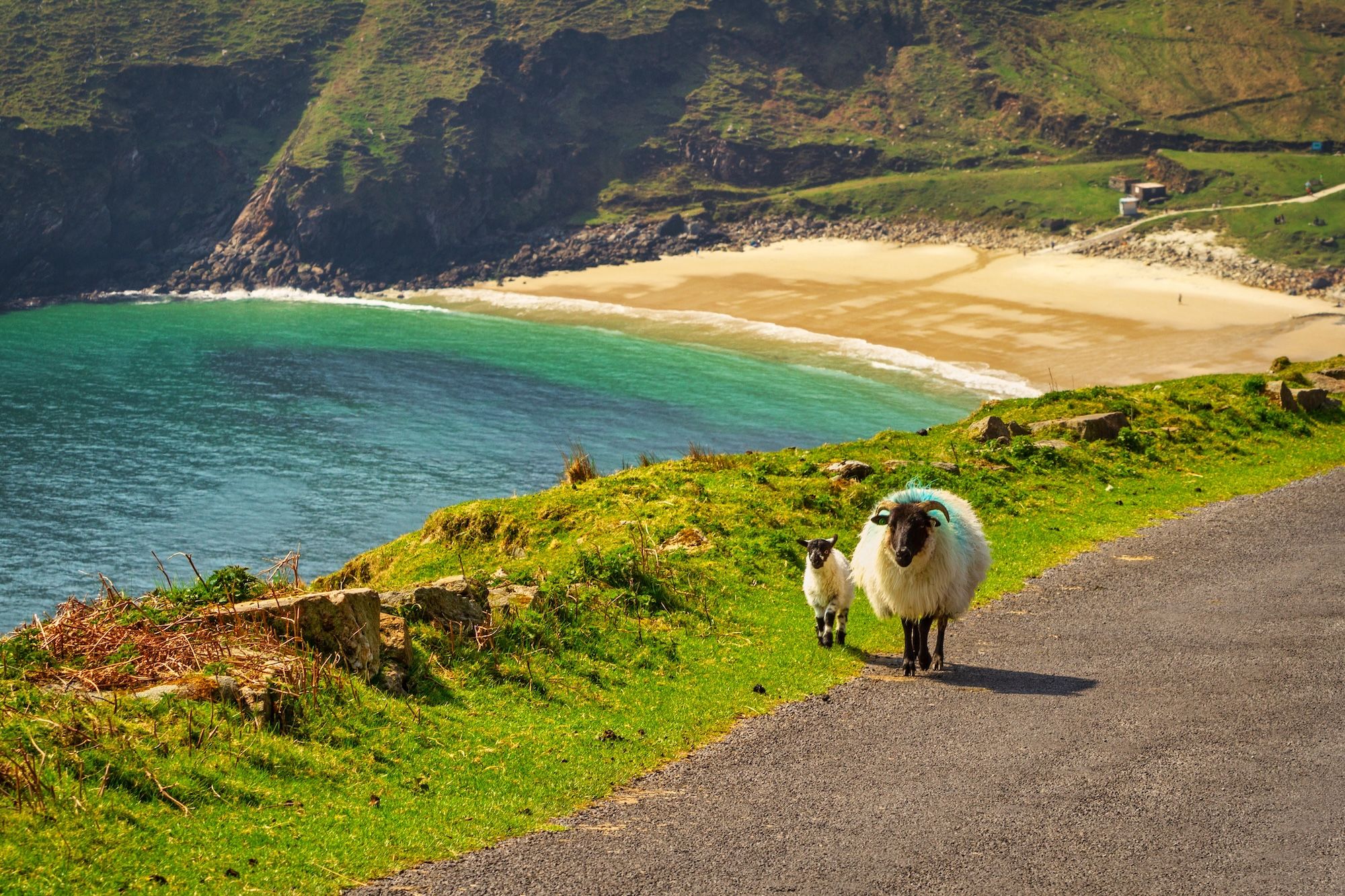 Una spiaggia a Mayo ©Patryk Kosmider /Shutterstock