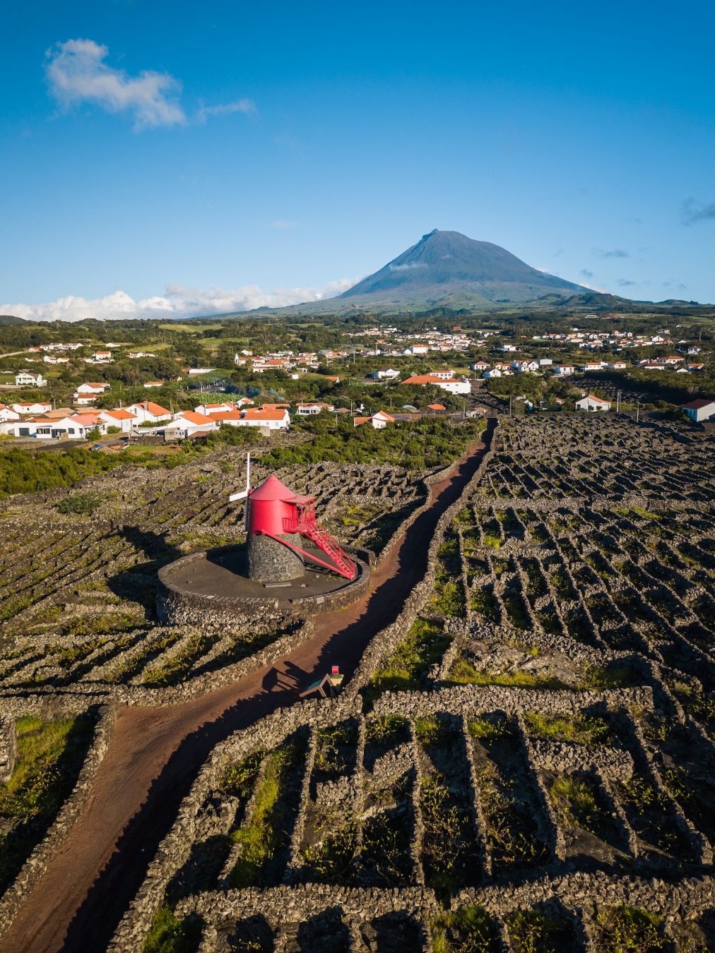 I currais, i muretti di pietra basaltica costruiti per proteggere le viti dal vento e dal mare Carlos.S.Pereira © UschiDaschi/Shutterstock