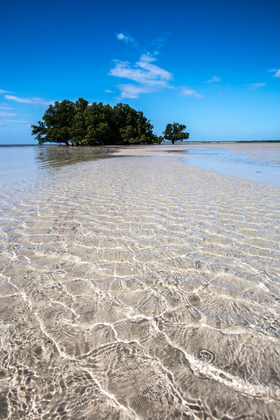 Il paesaggio dell’isola di Ibo, in Mozambico © hachiko.58 / Shutterstock