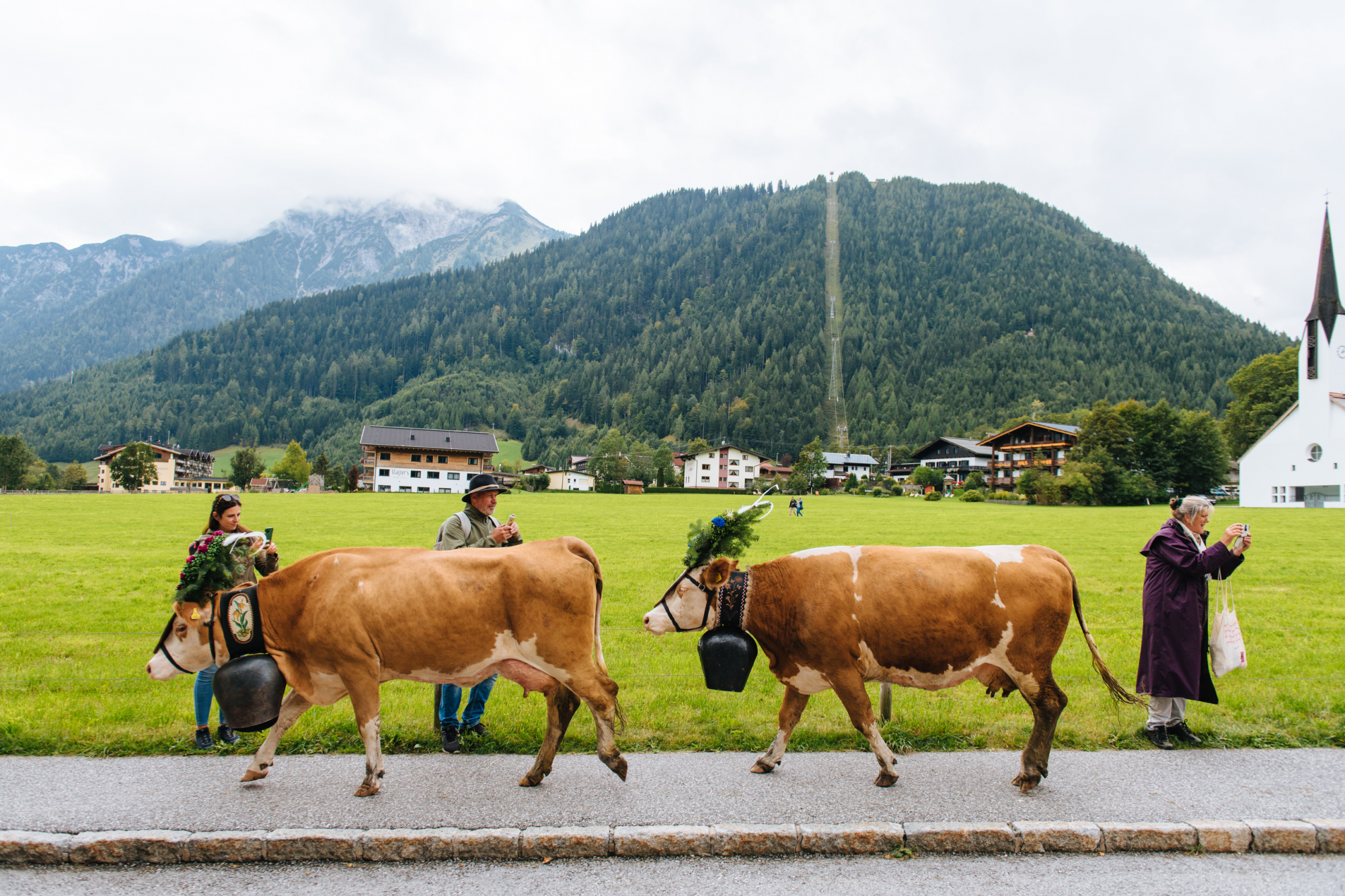 turisti accorsi per almabtrieb, pertisau