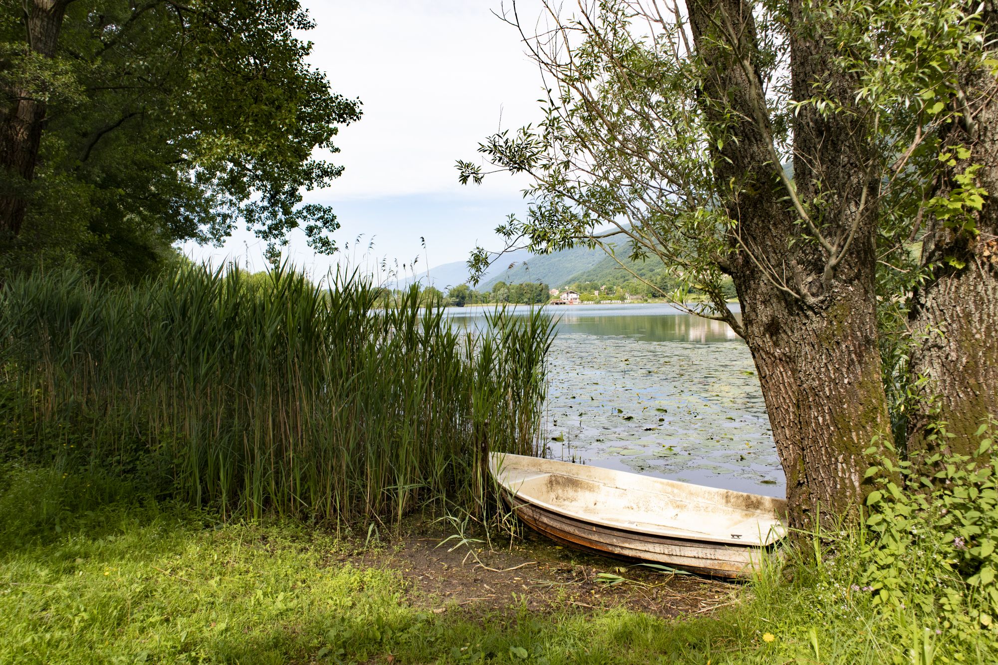 Sulle sponde del lago © Erica Balduzzi/lonely Planet Italia
