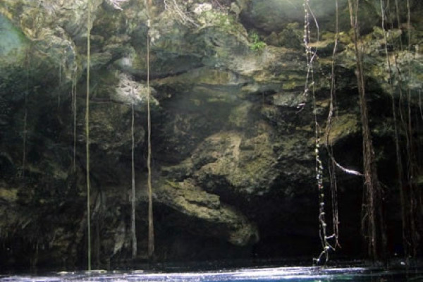 Viaggio a nuoto tra i cenotes dello Yucatán