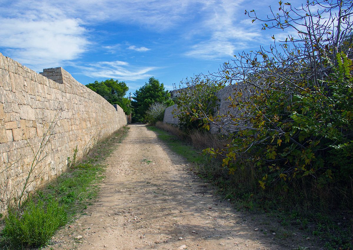 Pianosa, un percorso di trekking nell'entroterra. Credits Julia Lopatina / Shutterstock