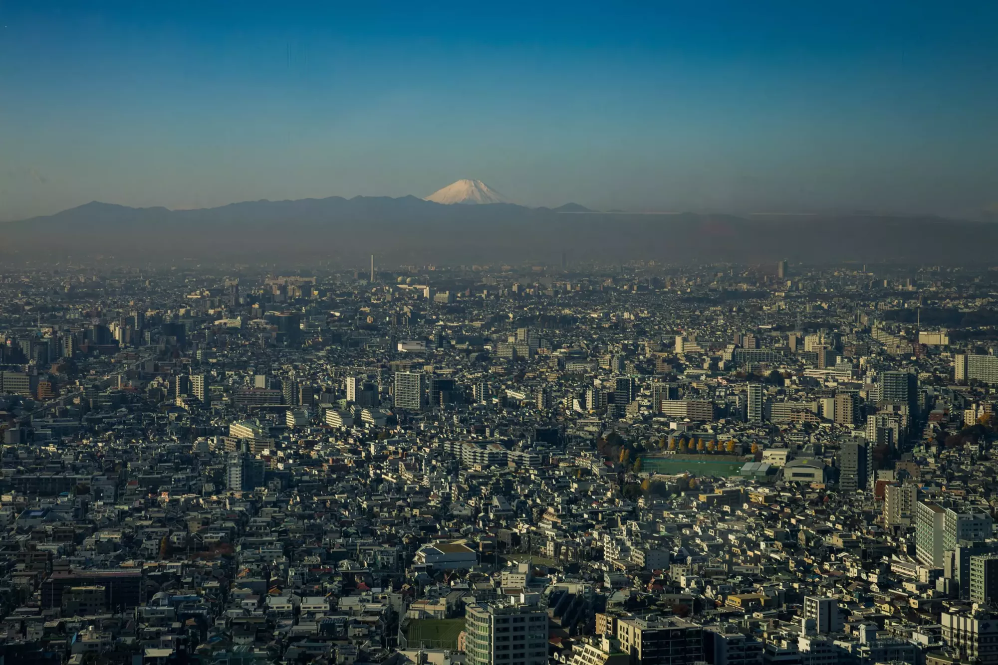 La vista dal Palazzo del Governo Metropolitano di Tokyo. © Laura Studarus