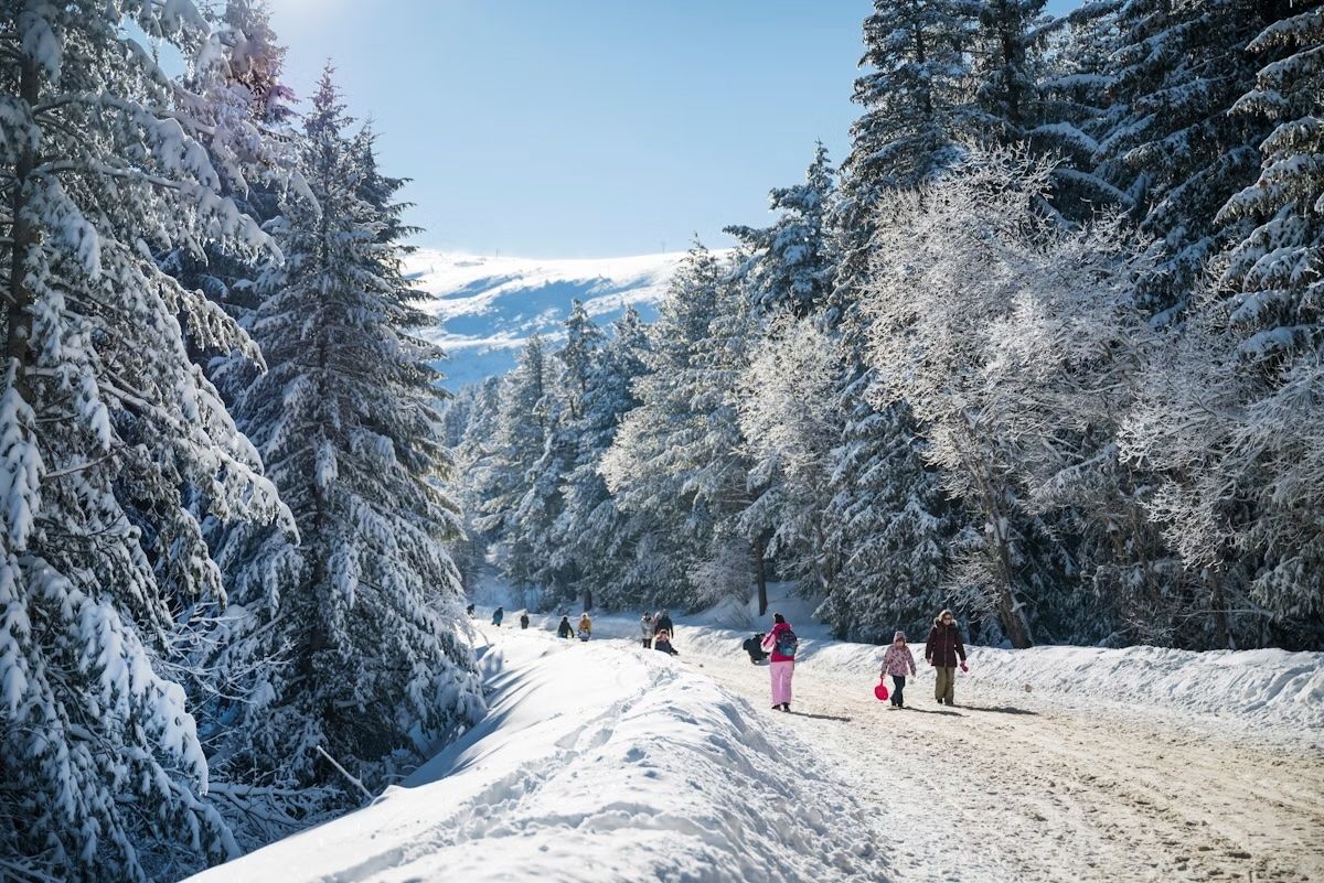 Il Parco naturale di Vitosha è una meta ideale per gli escursionisti invernali. Boryana Manzurova/Shutterstock