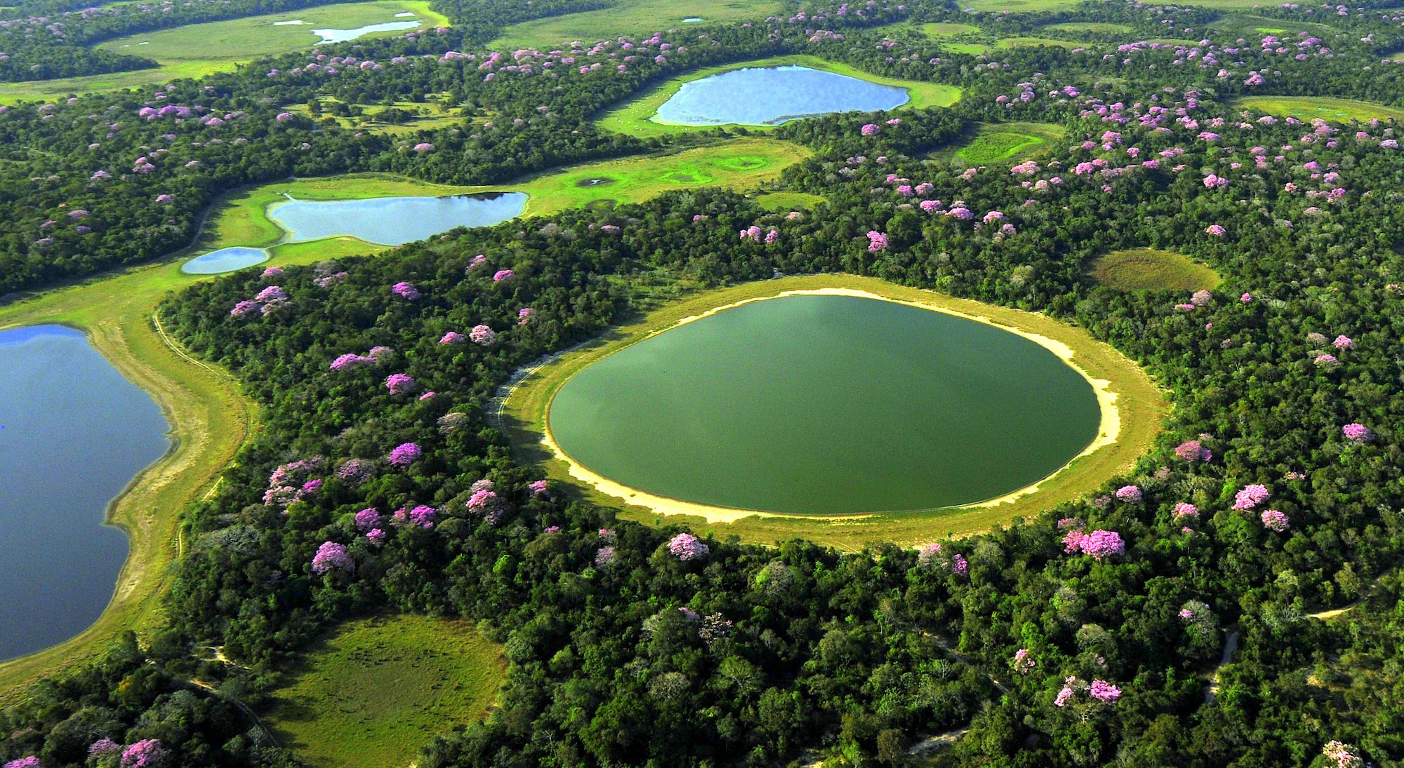 Veduta sul Pantanal in Brasile