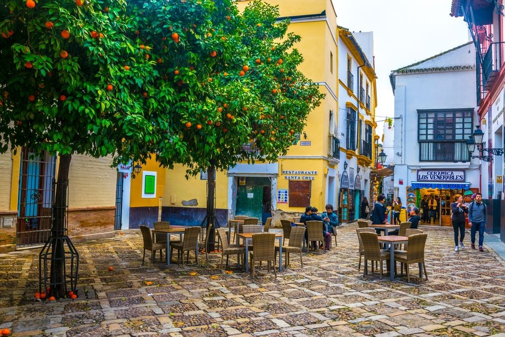 Tavolini in piazza sotto alberi di aranci © Shutterstock / trabantos