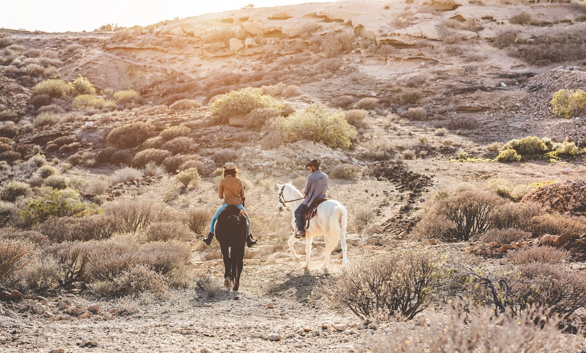 Imparate a cavalcare in Sudafrica ©Tint Media/Shutterstock