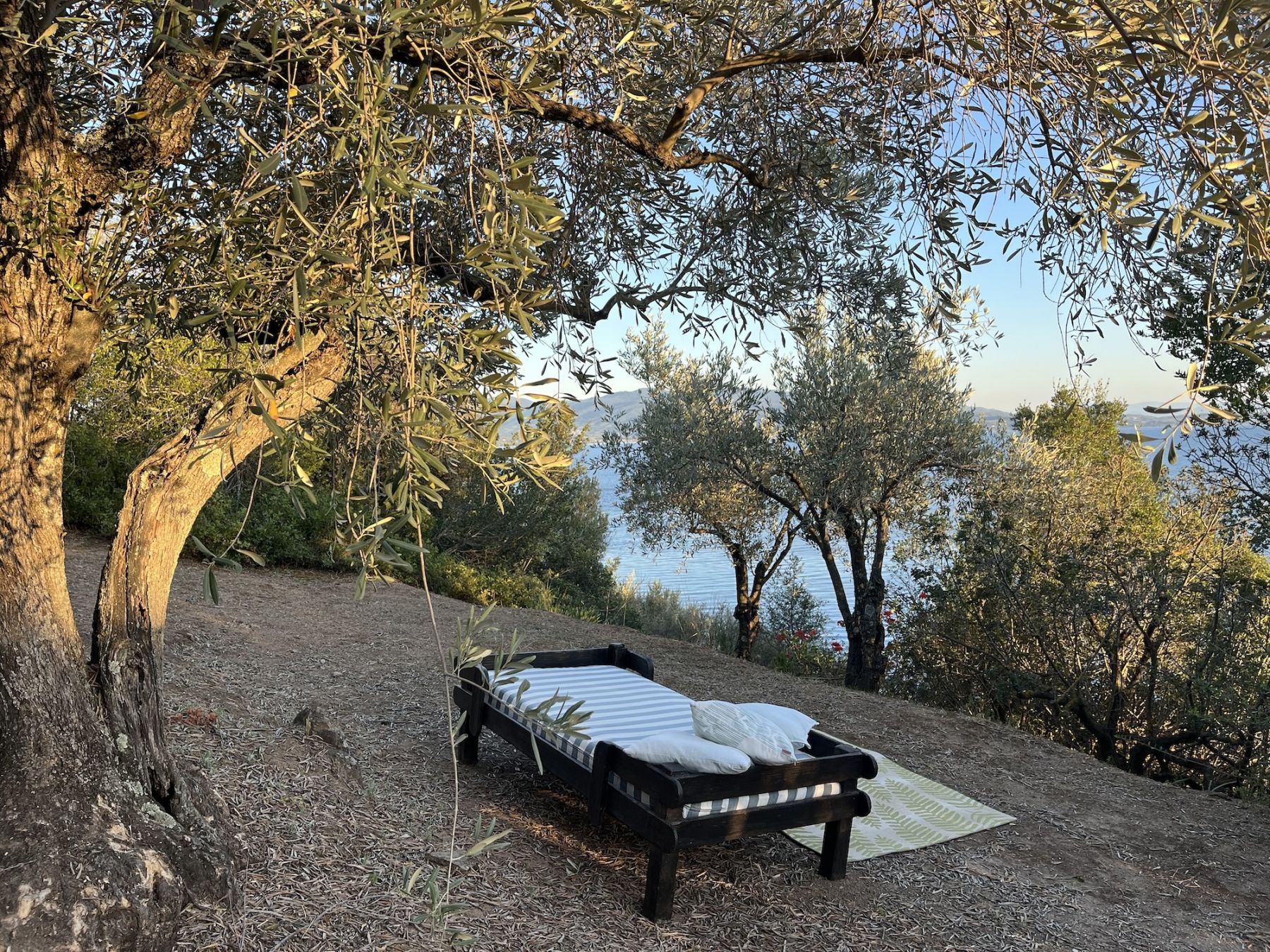 Uno degli incantevoli angoli in cui rilassarsi tra gli ulivi © Giulia Grimaldi/Lonely Planet Italia