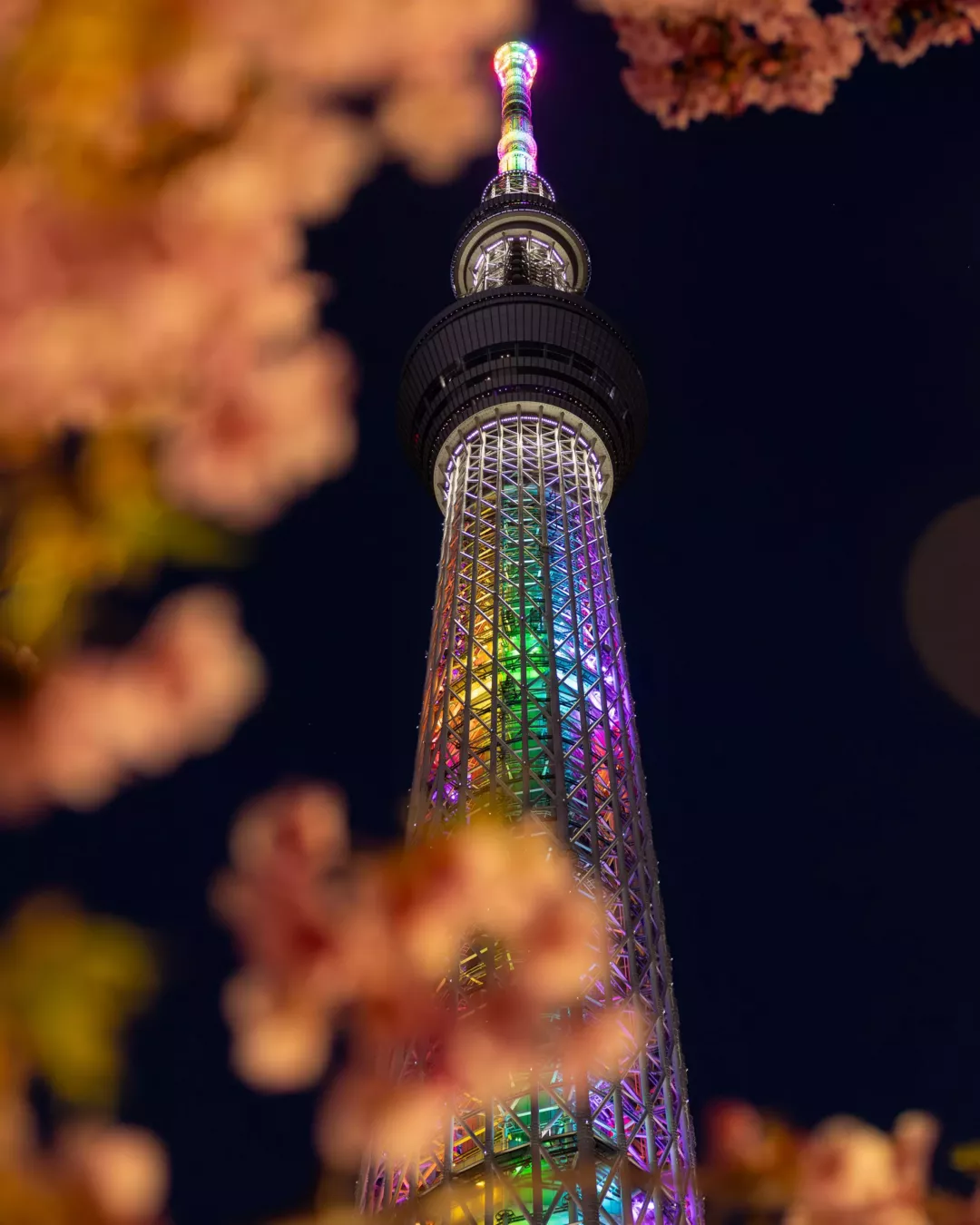 Il Tokyo Skytree, la torre più alta del mondo. © Laura Studarus